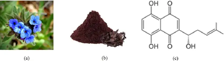 Comfrey Extract Alkannin