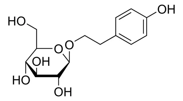 Physicochemical Properties of Salidroside