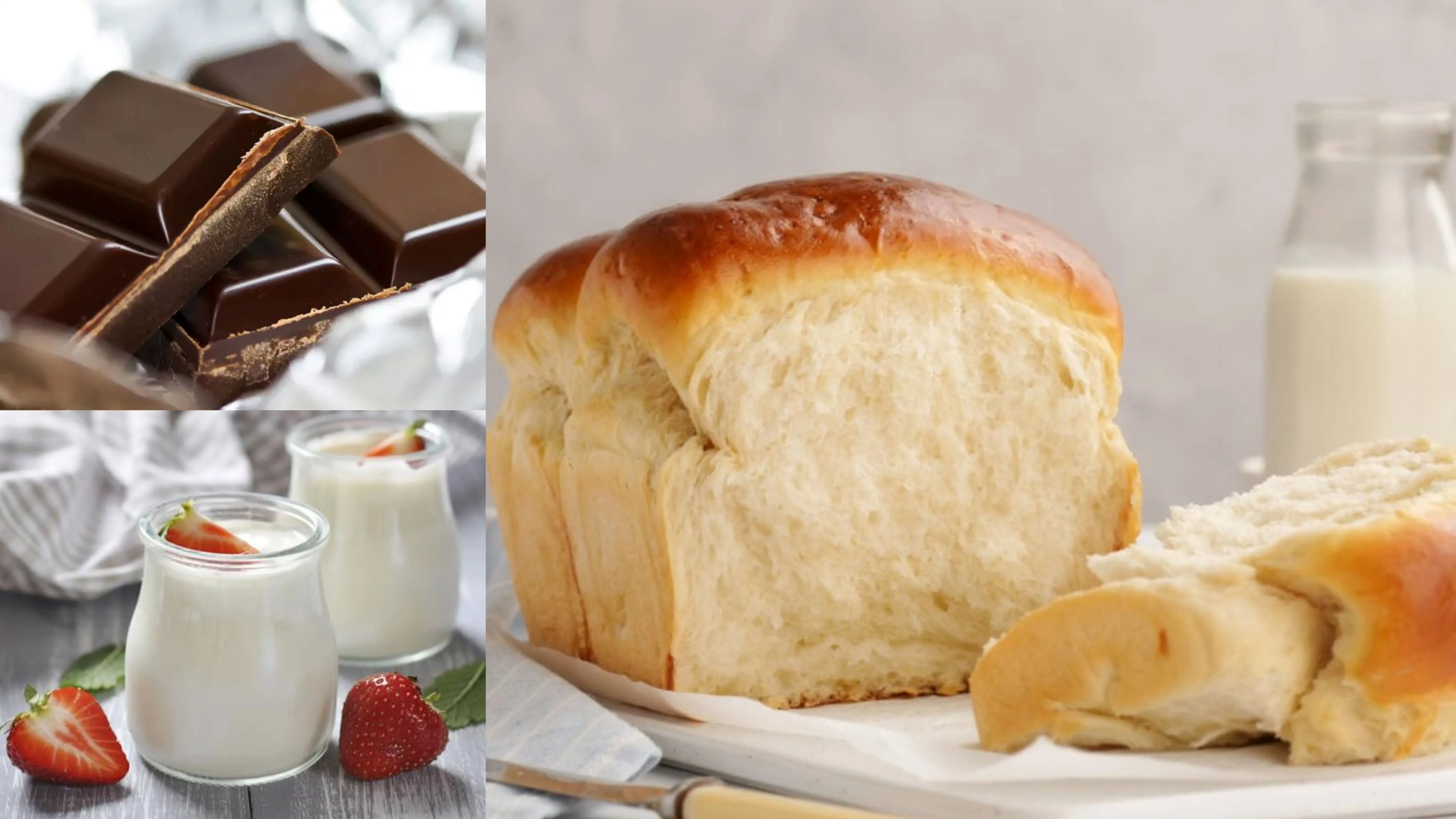 The Applications of Stachyose