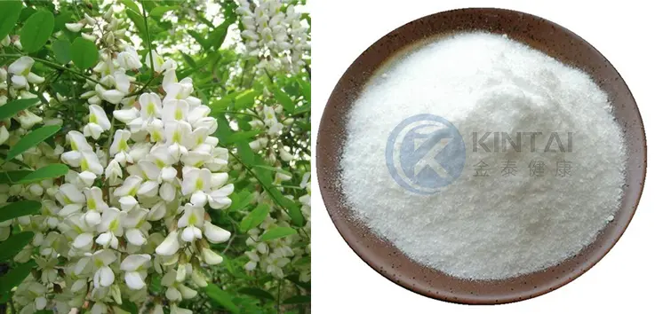 Sophora Japonica Extract L-rhamnose Sophora Japonica Extract L-rhamnose