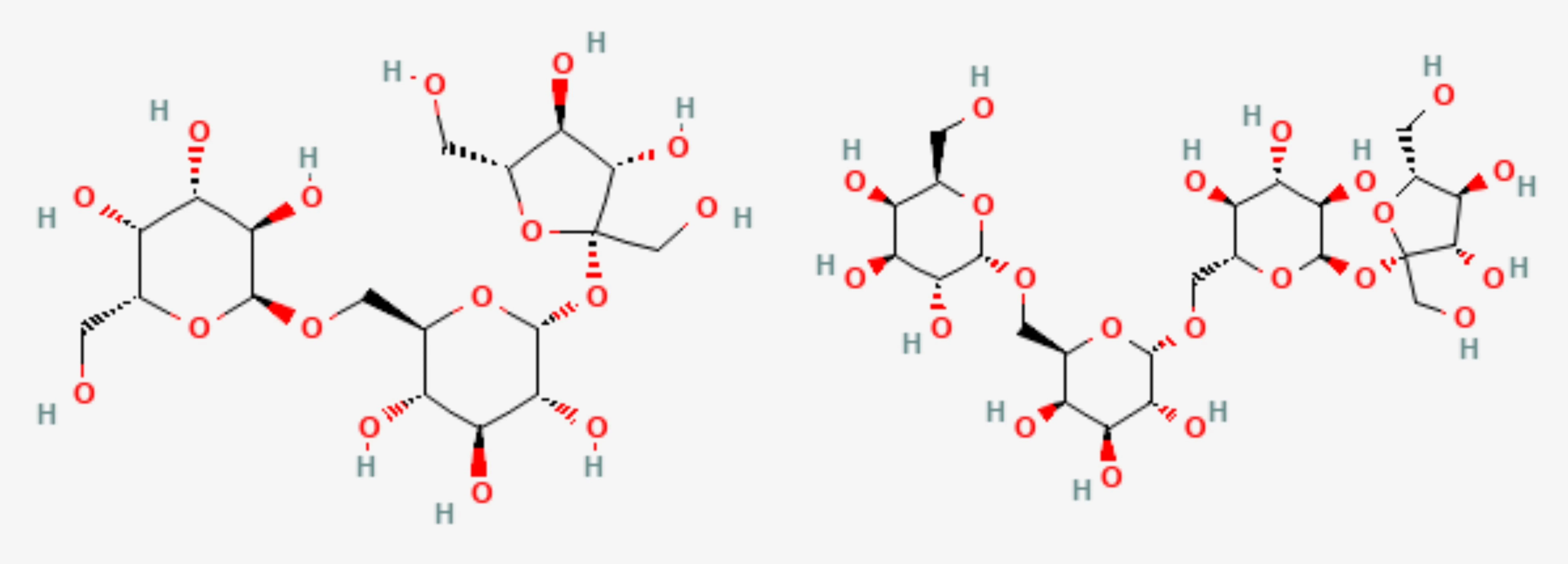 What Is the Difference between Stachyose and Raffinose? What Is the Difference between Stachyose and Raffinose?