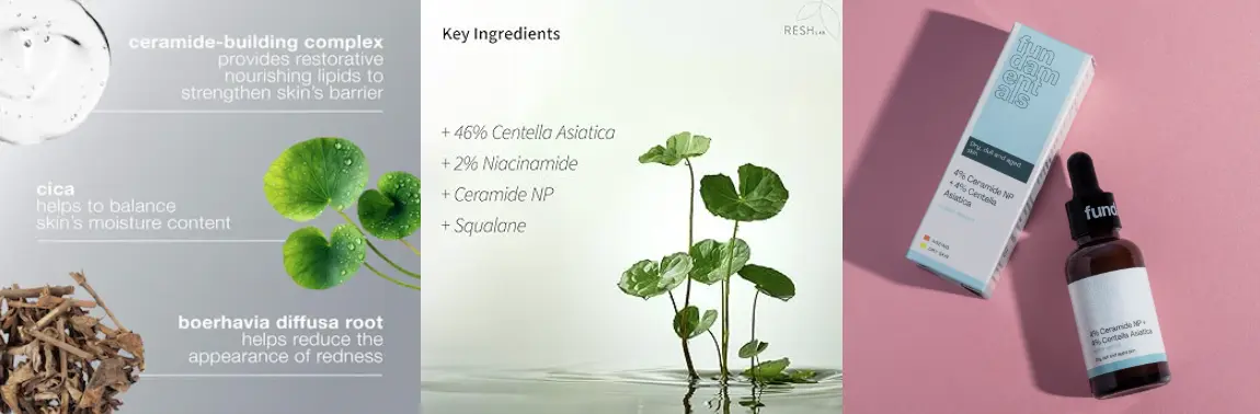Centella Asiatica + Ceramides/Squalane