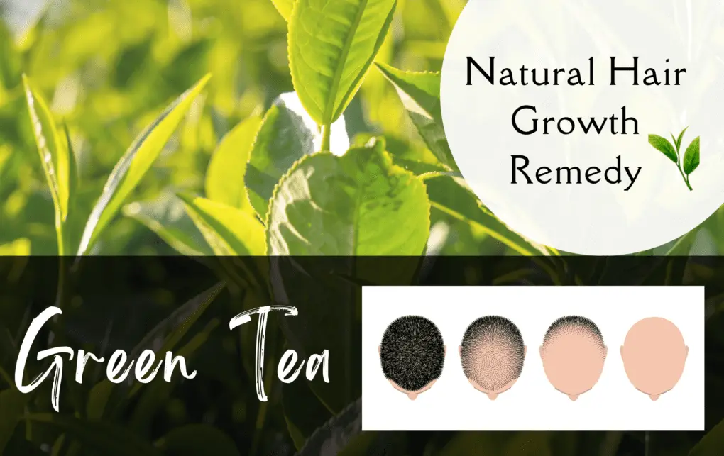 Green Tea Extract for Hair