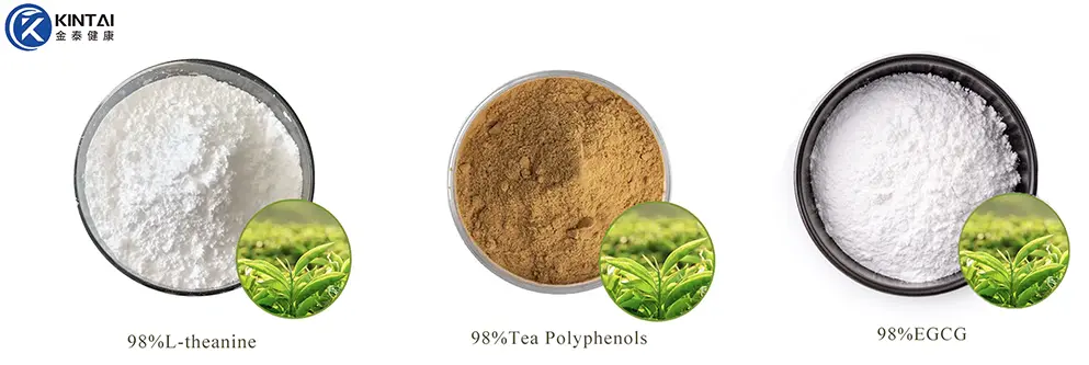 Green Tea Extract 