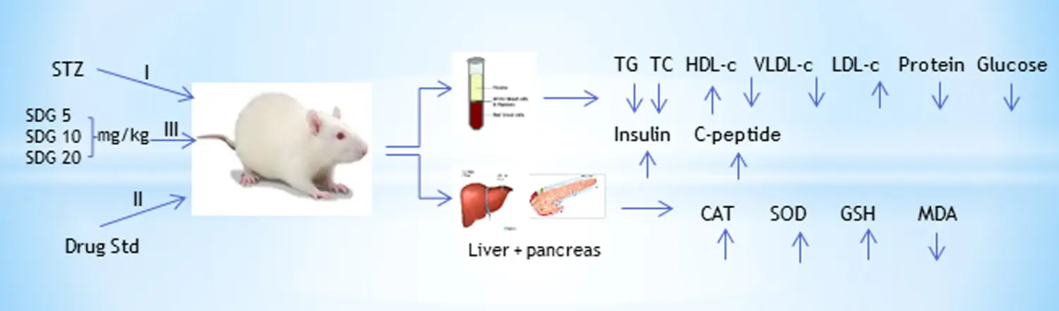Secoisolariciresinol Diglucoside and Diabetes Secoisolariciresinol Diglucoside and Diabetes