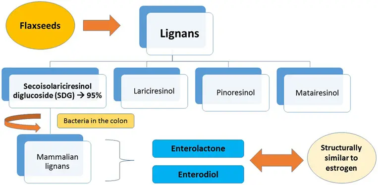 https://www.sciencedirect.com/science/article/pii/S0022316622065853 https://www.sciencedirect.com/science/article/pii/S0022316622065853