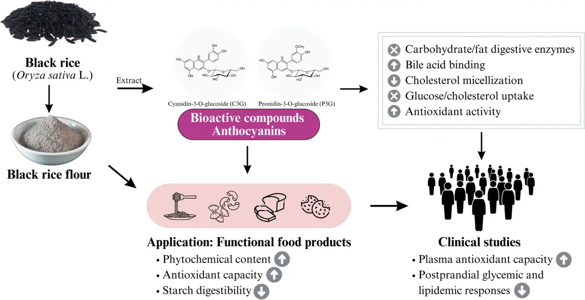 Black Rice Extract in Functional Foods and Supplements