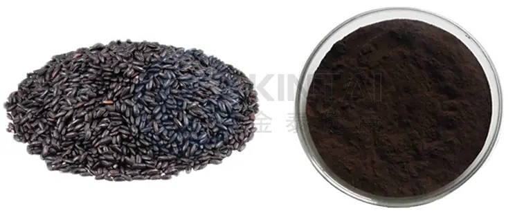 Black Rice Extract Powder Manufacturers and Suppliers Black Rice Extract Powder Manufacturers and Suppliers