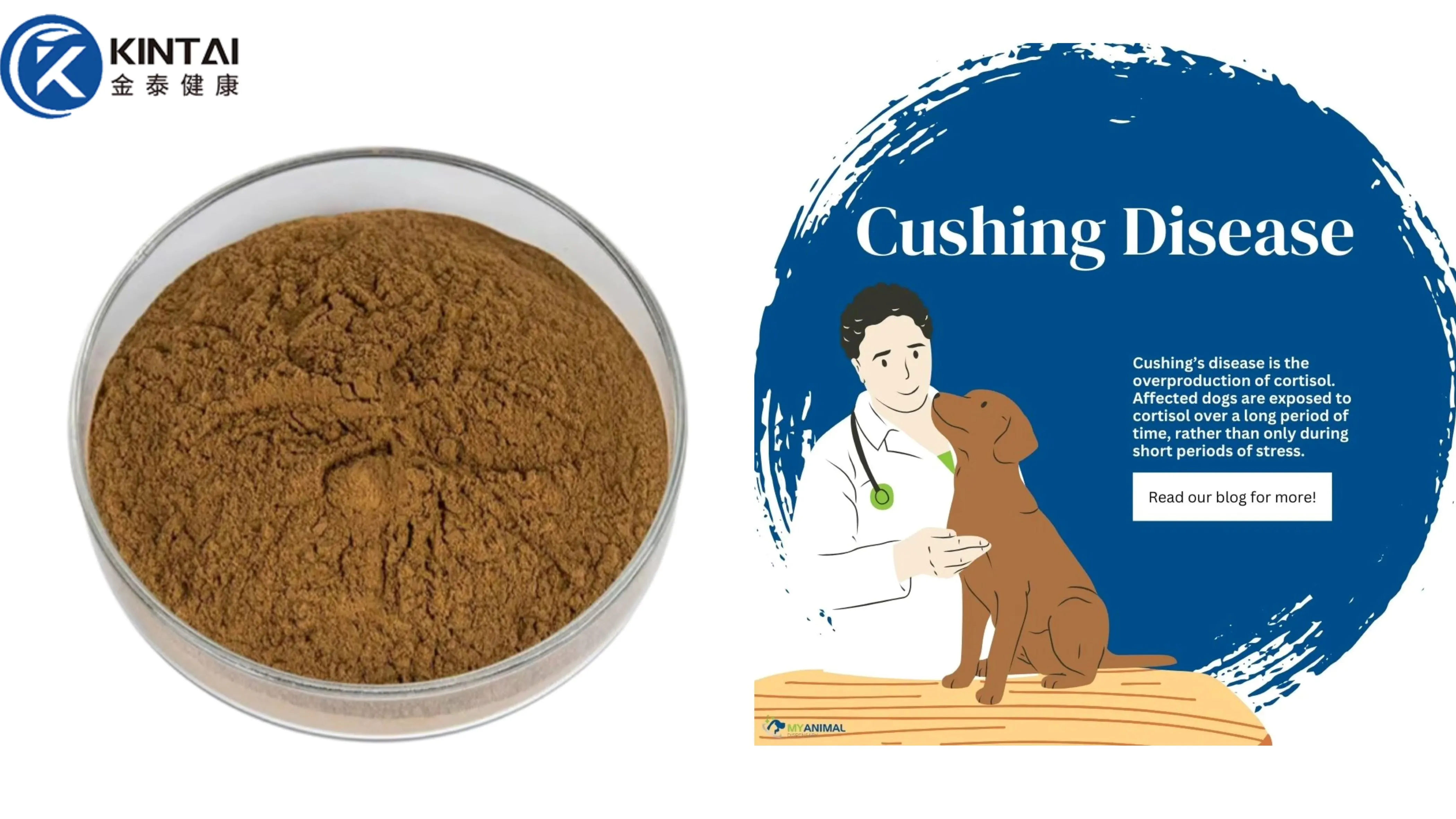 Flax lignans for dogs Flax lignans for dogs