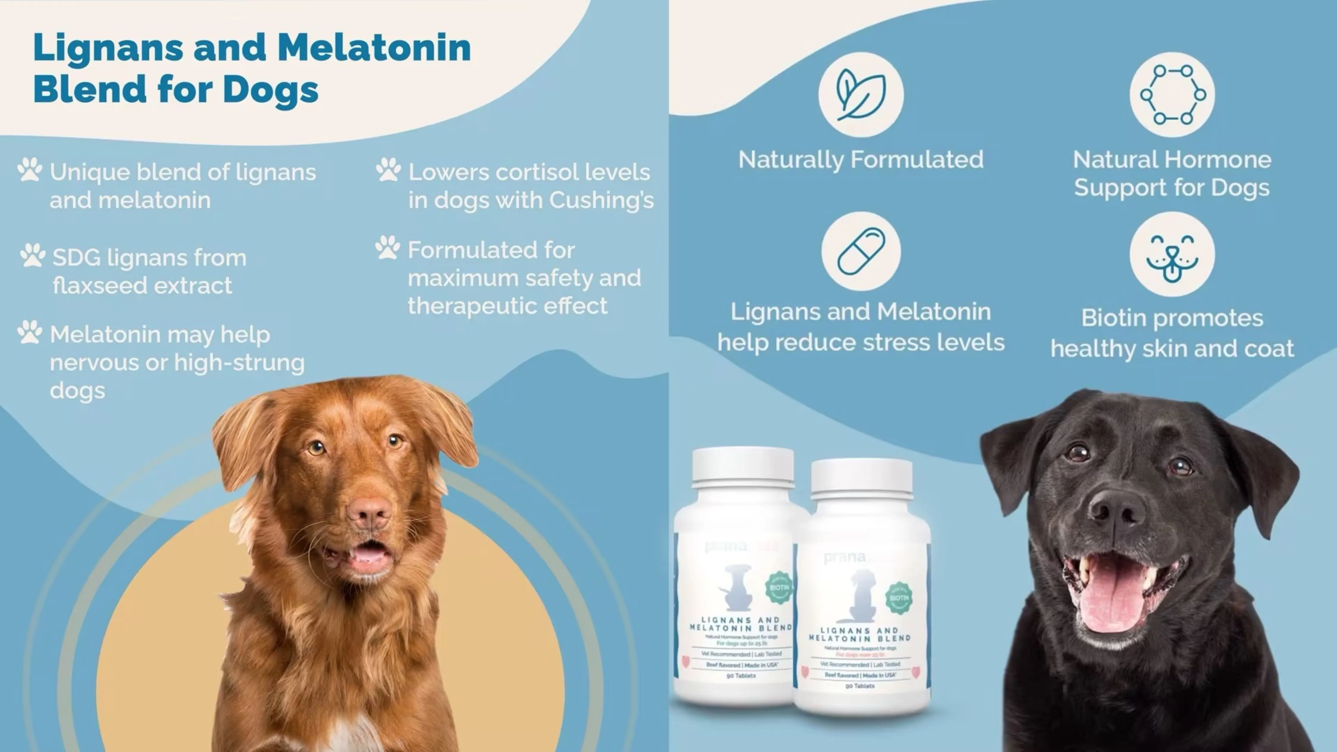 The Combination of Melatonin and Lignans for Dogs The Combination of Melatonin and Lignans for Dogs