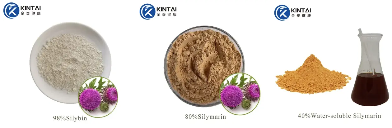 Milk Thistle Extract Powder Manufacturers and Suppliers