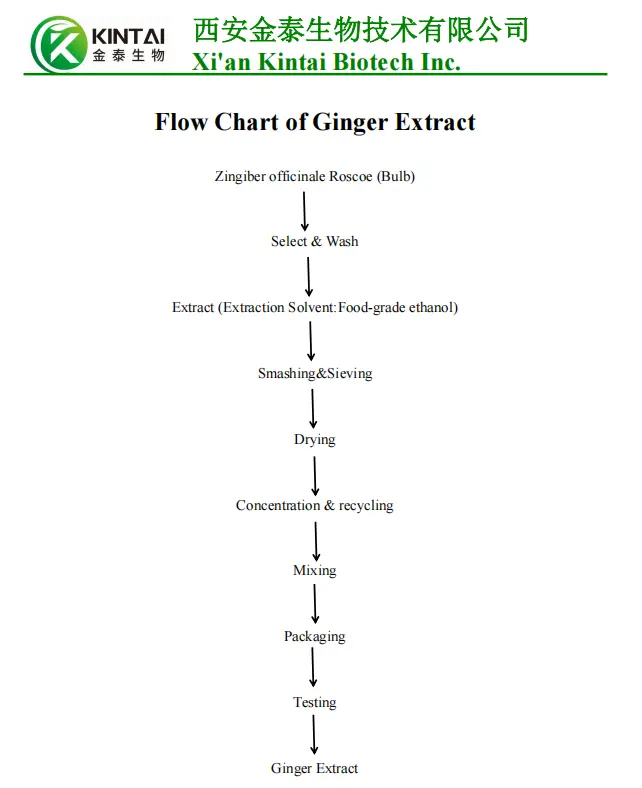 How to make Ginger Extract Powder? How to make Ginger Extract Powder?