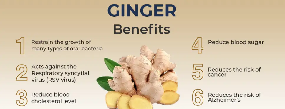 Ginger Extract for Men