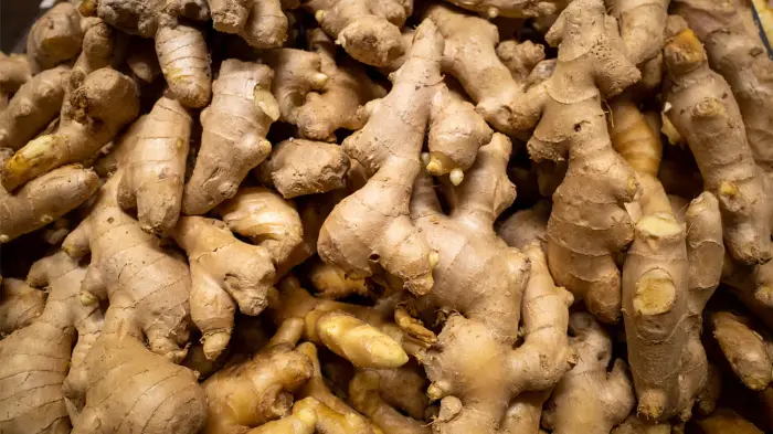 Ginger Extract Powder