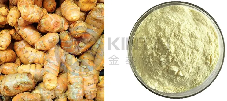 Ginger Extract Powder