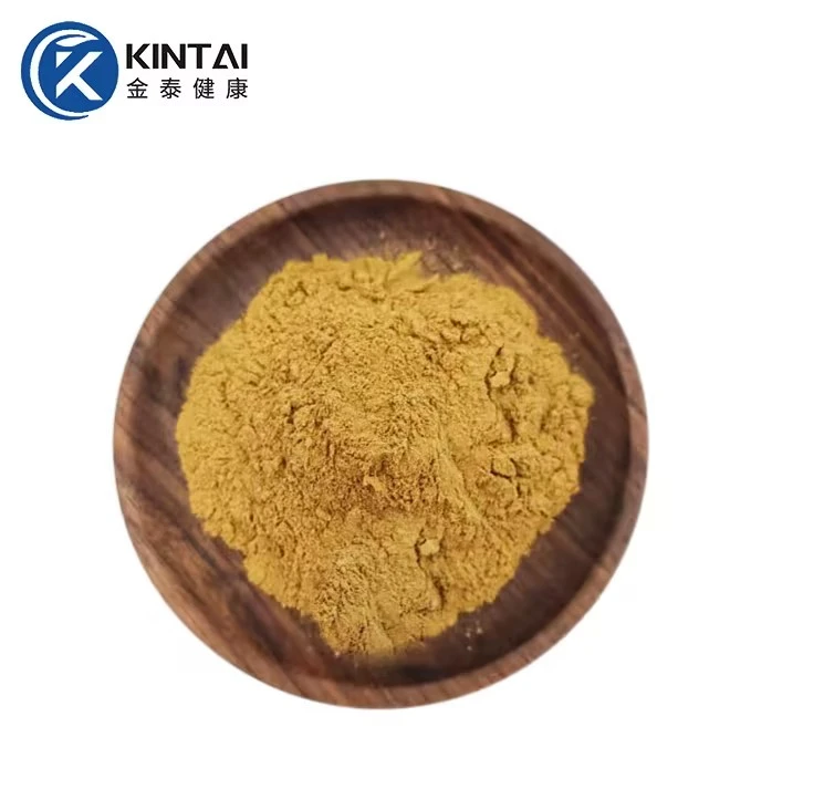 Bacopa monnieri extract bacosides powder