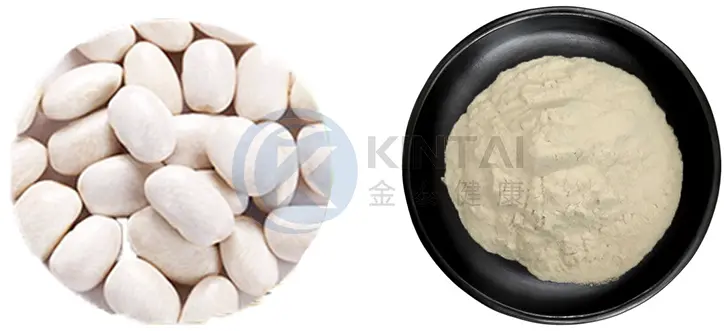 White Kidney Bean Extract Powder Manufacturers and Suppliers