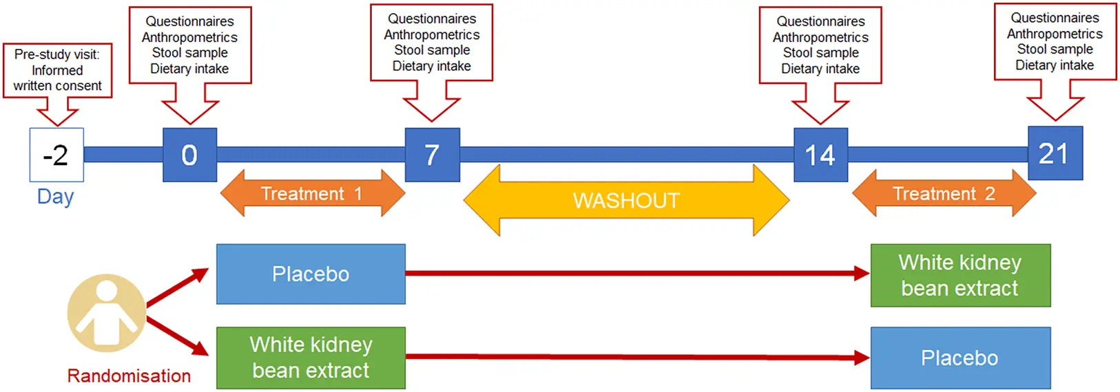 How does White Kidney Bean Extract works ? How does White Kidney Bean Extract works ?
