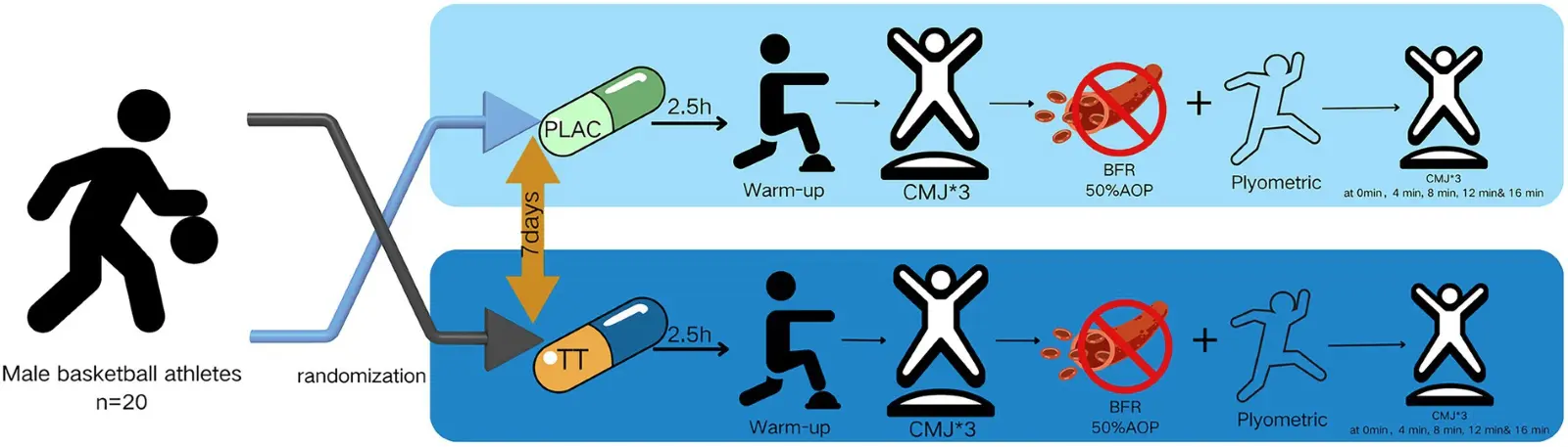 Tribulus Terrestris Saponins improving athletic performance Tribulus Terrestris Saponins improving athletic performance