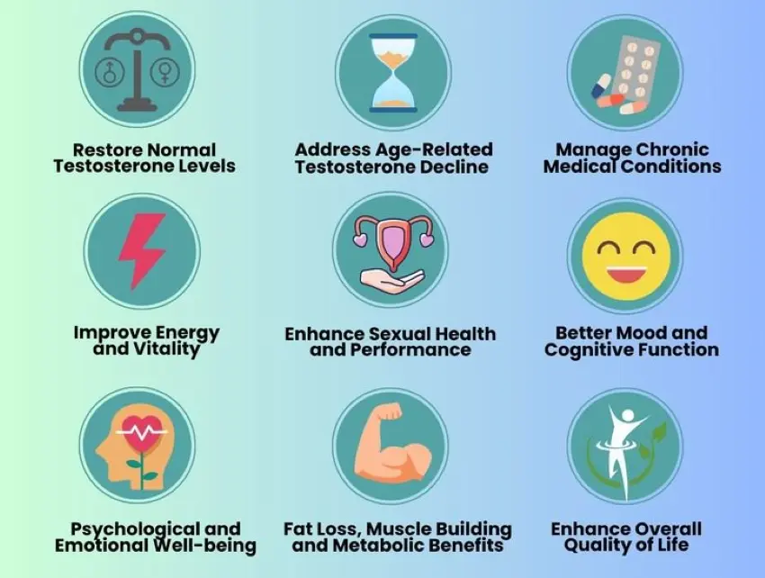 Benefits of Epimedium extract Icariin for men’s body by increasing testosterone