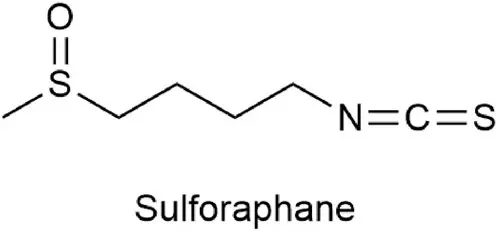 Sulforaphane Powder Dosage Sulforaphane Powder Dosage