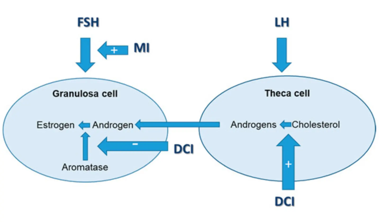 Key Application of DCI: Ameliorating Symptoms Associated with Polycystic Ovary Syndrome (PCOS) Key Application of DCI: Ameliorating Symptoms Associated with Polycystic Ovary Syndrome (PCOS)