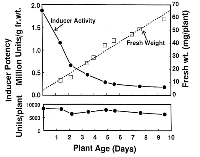 KINTAI Glucoraphanin Powder Plant Source