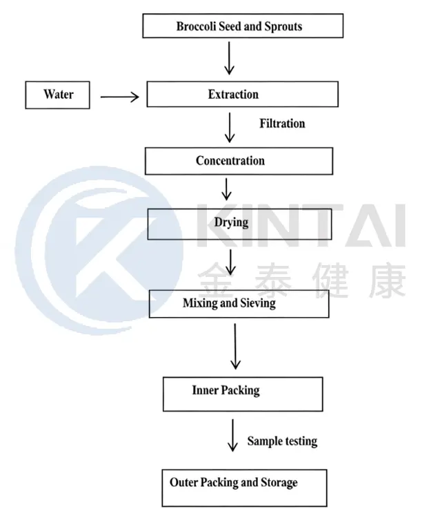 Manufacrure Process