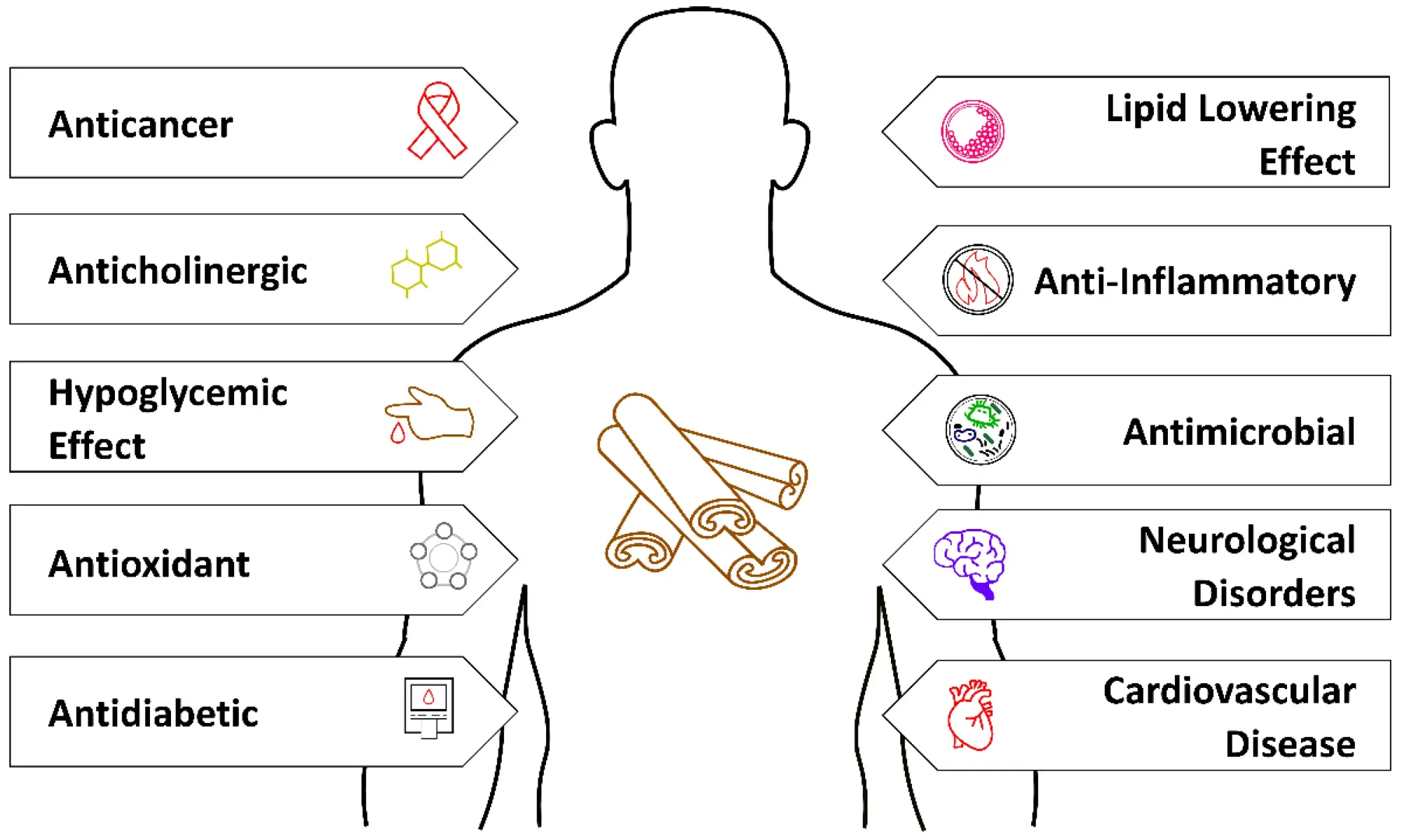 Health Benefits of Cinnamon Extract