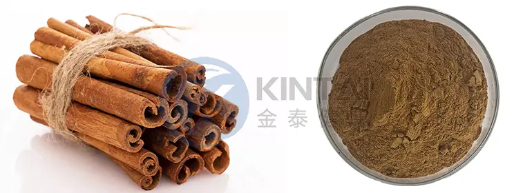 Cinnamon Extract Powder
