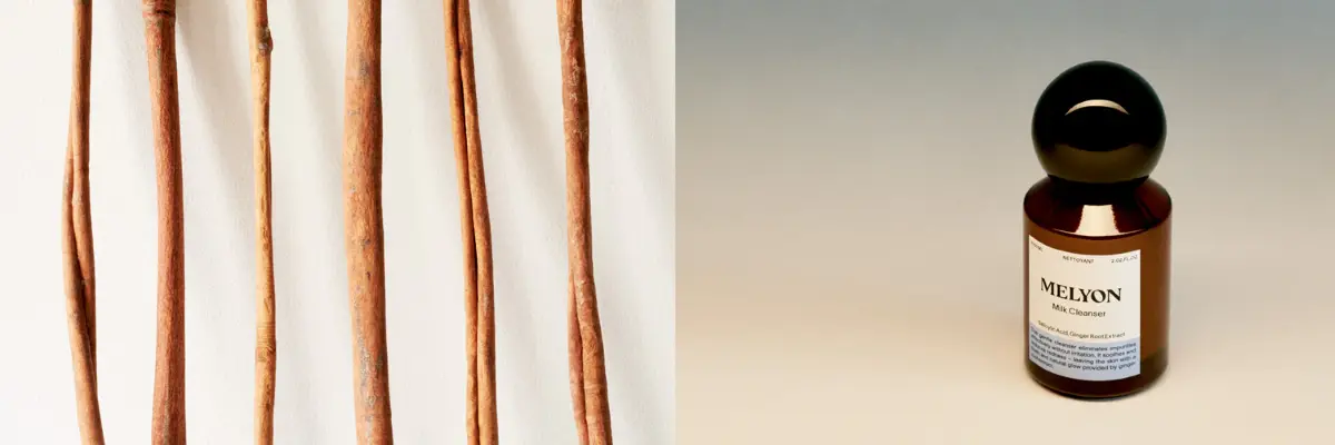 cinnamon extract  Skincare Products