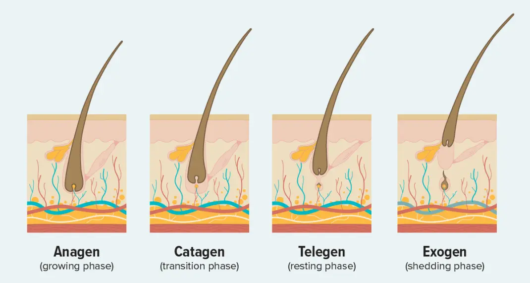 Copper Peptide for Hair​