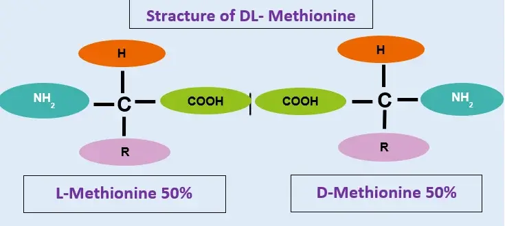 DL-methionine DL-methionine