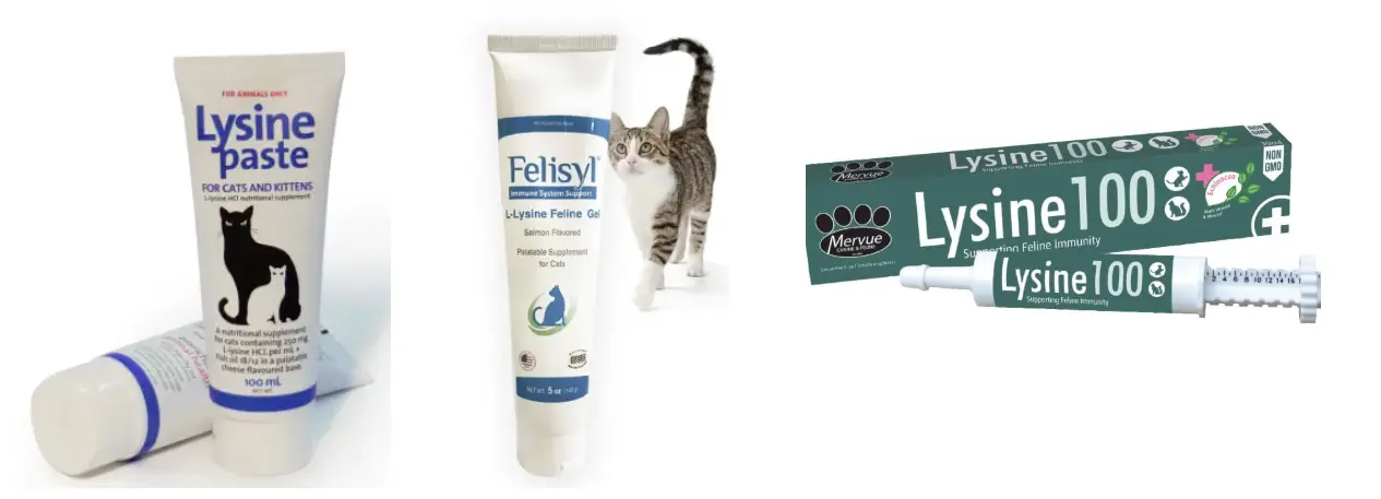 Cat L-lysine Nutritional Pastes