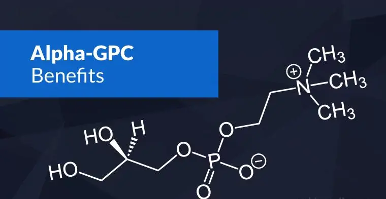 What is Alpha-GPC?