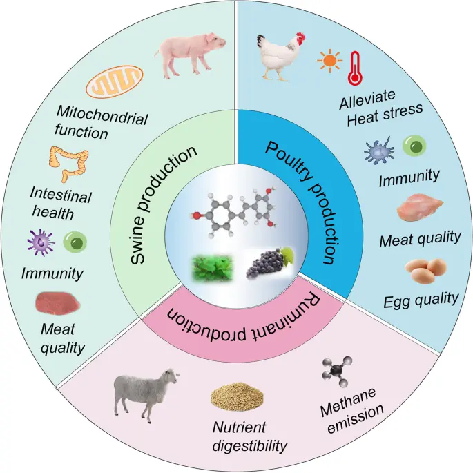Animal Nutrition and Farming Animal Nutrition and Farming