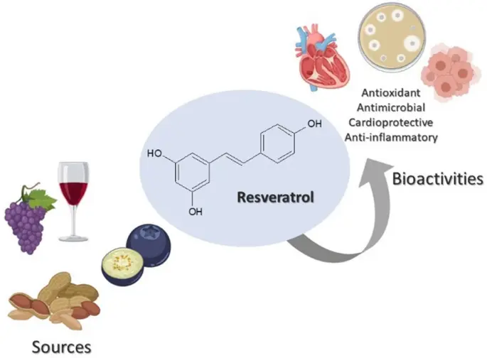 Antioxidant Effect of resveratrol Antioxidant Effect of resveratrol