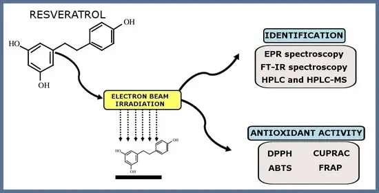 Stability and Conversion