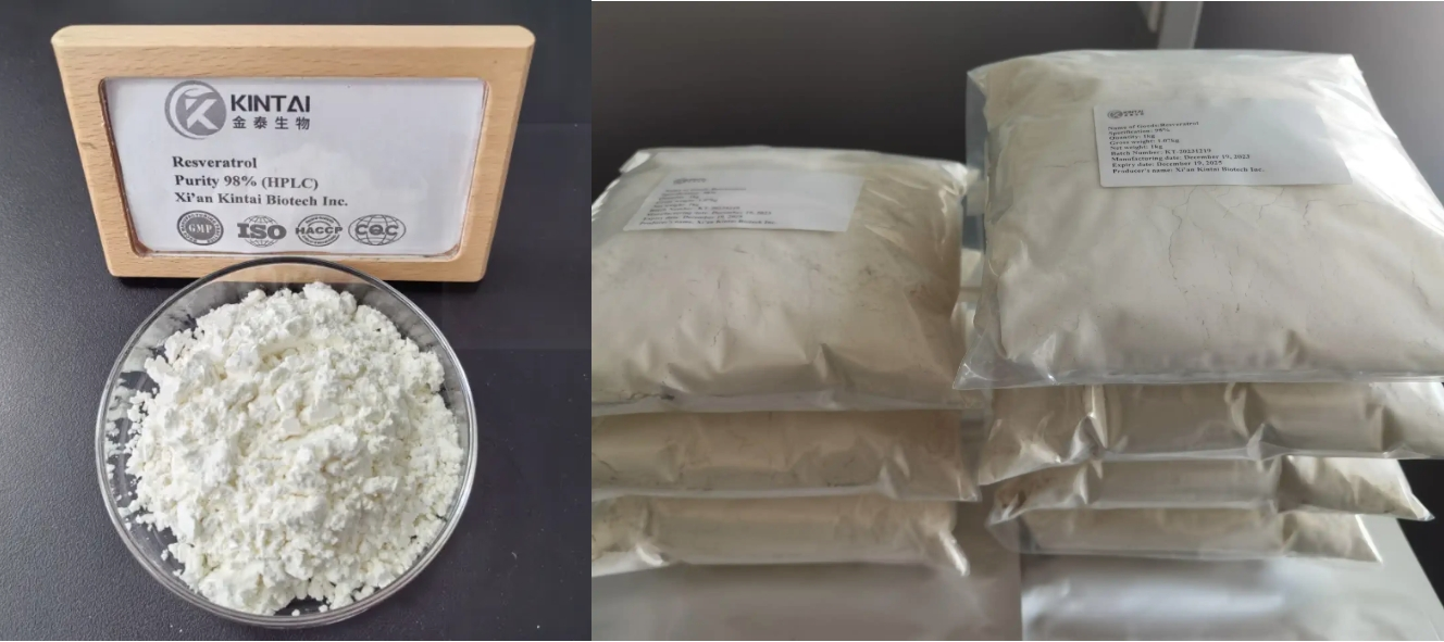 KINTAI Best Resveratrol Powder KINTAI Best Resveratrol Powder