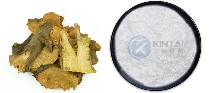 KINTAI Best Resveratrol Powder KINTAI Best Resveratrol Powder