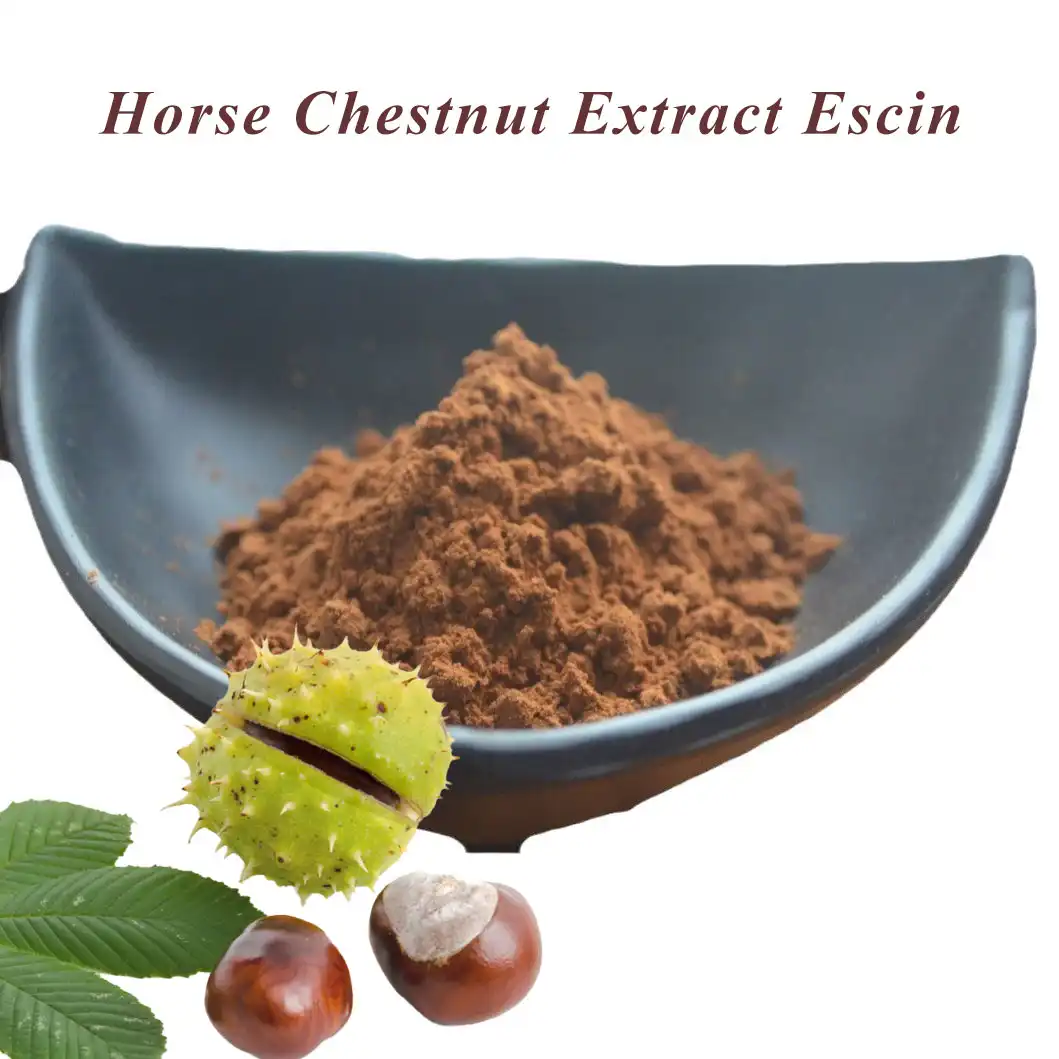 Horse Chestnut Extract Escin Horse Chestnut Extract Escin