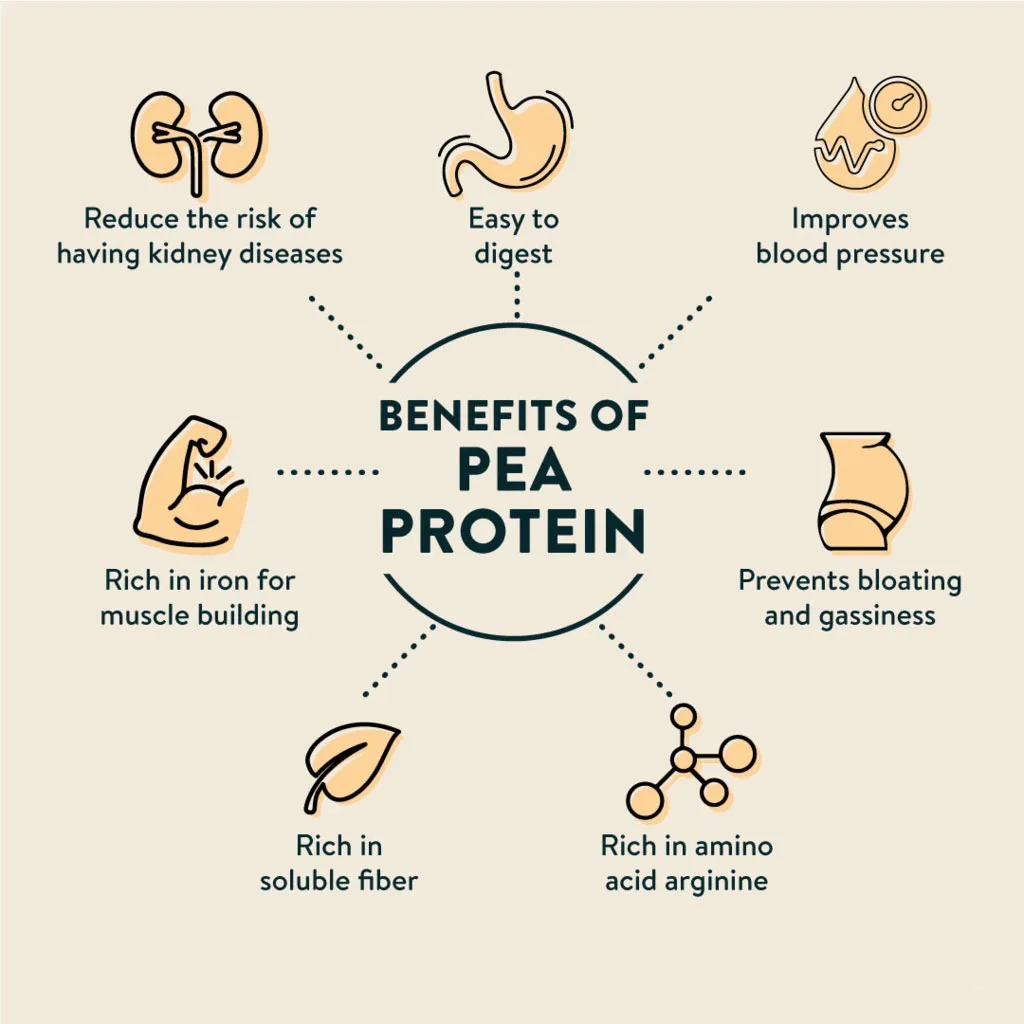 Health effects of Organic Pea Protein Powder Health effects of Organic Pea Protein Powder