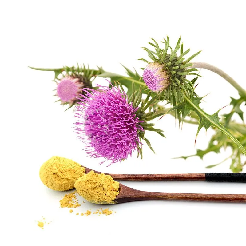Mis Thistle Extract Powder Mis Thistle Extract Powder