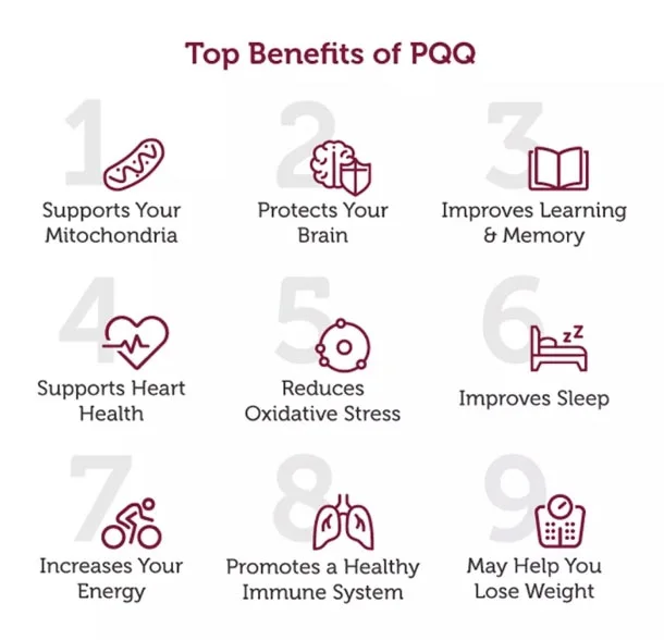 Biological Functions of PQQ Powder Biological Functions of PQQ Powder