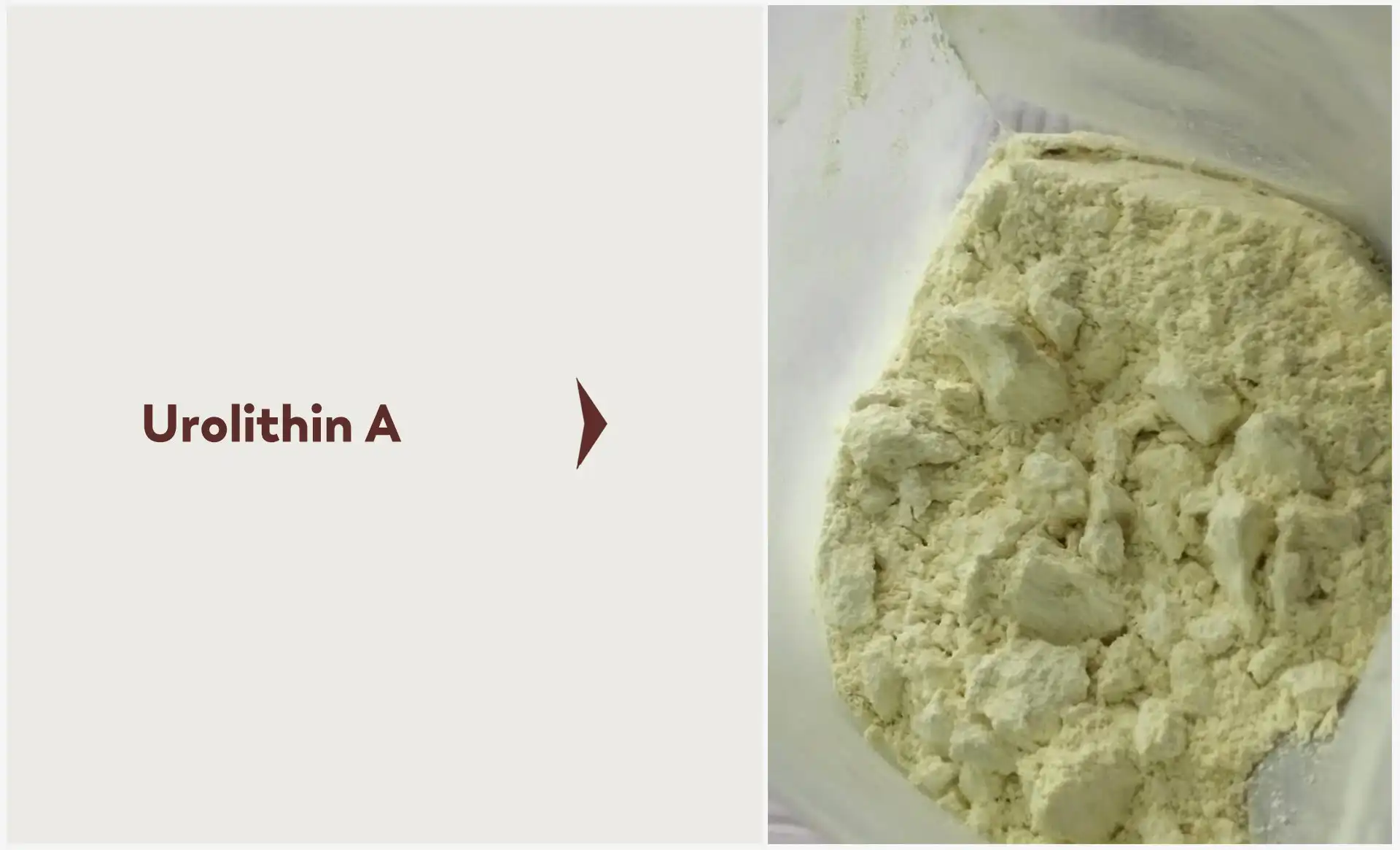 Urolithin A Powder Urolithin A Powder