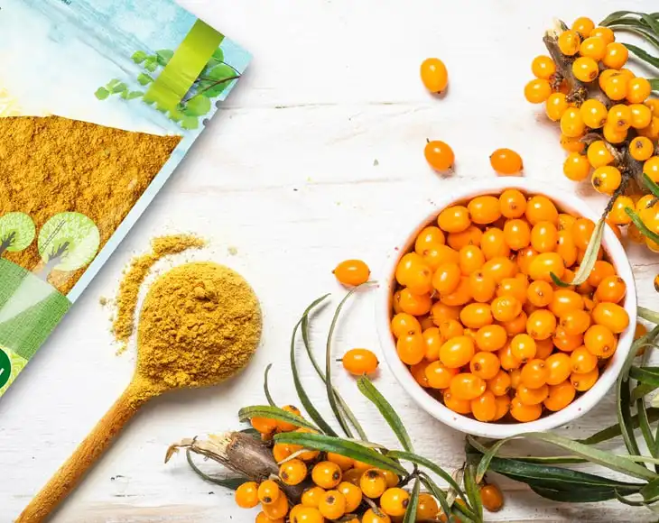 Sea Buckthorn Powder Sea Buckthorn Powder