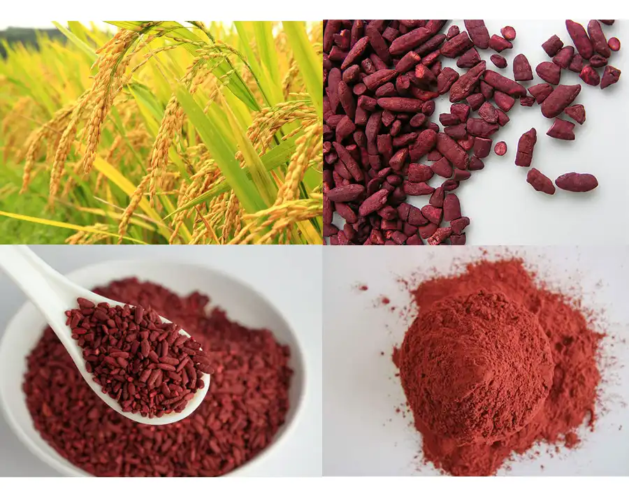 Red Yeast Rice Extract Powder Red Yeast Rice Extract Powder