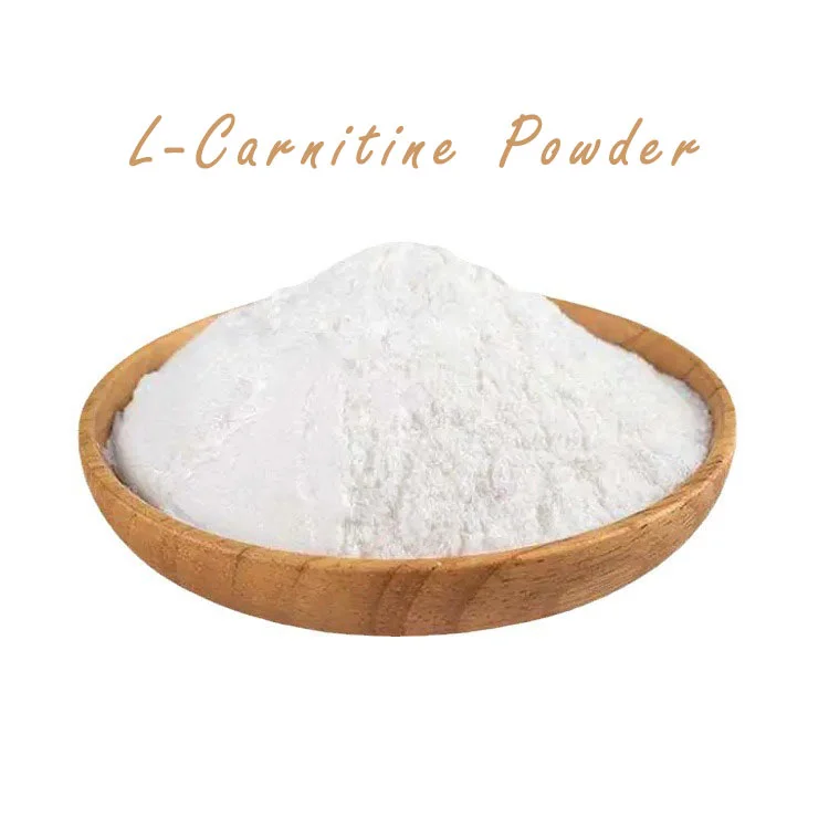 L-Carnitine Powder L-Carnitine Powder
