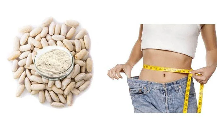 White Kidney Bean Extract Powder Impact on Overall Metabolic Health White Kidney Bean Extract Powder Impact on Overall Metabolic Health