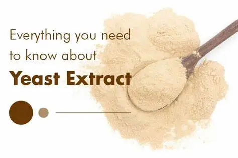 Benefits of Yeast Extract Powder Benefits of Yeast Extract Powder